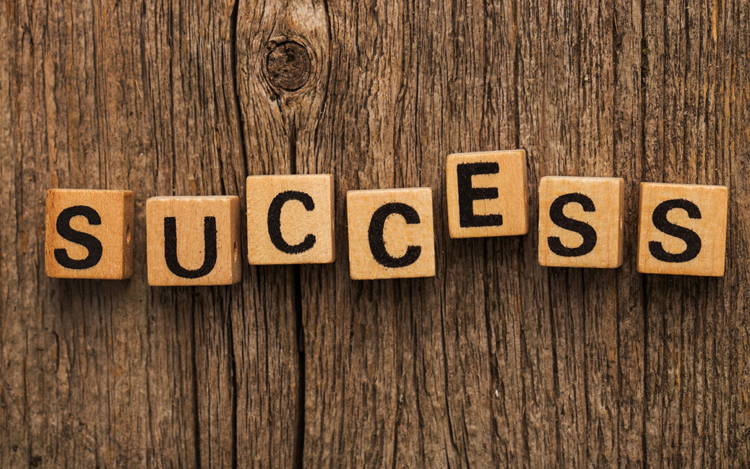 The 8 Secrets of Success: Insightful take on what truly drives achievement